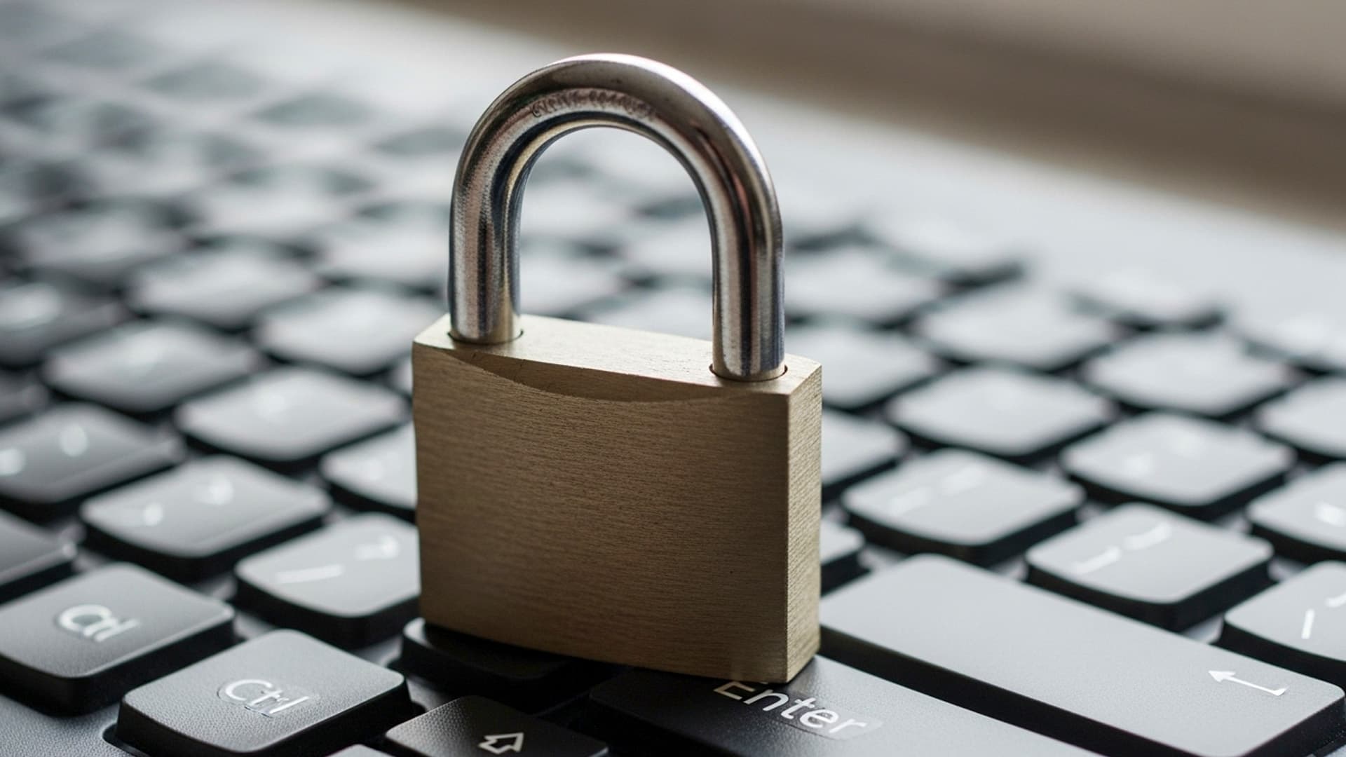 MetaXR Privacy Policy